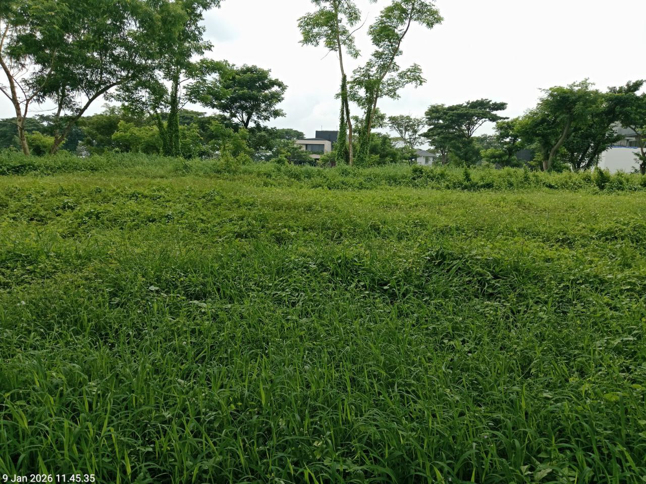 Dijual Murah Tanah Kawasan Premier di Surabaya Barat, Citraland Bukit Golf Internasional - Image 1