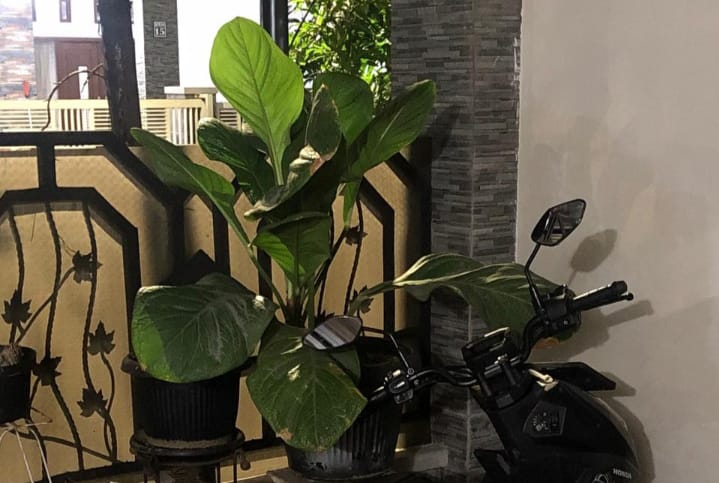 Dijual Rumah 2 Lantai Nyaman di Griya Citra Asri Benowo Surabaya Barat - Thumbnail 3