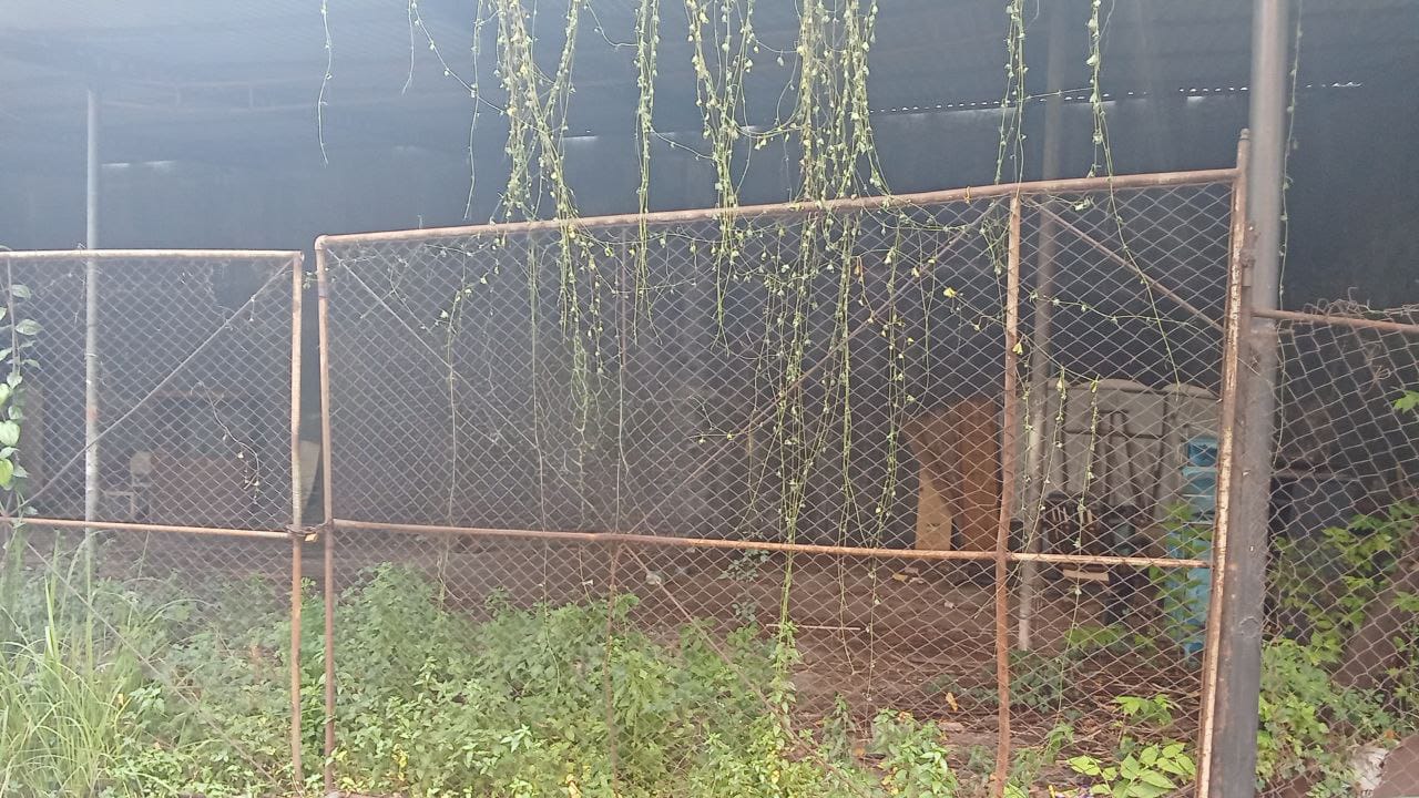 Dijual Cepat Tanah di Lokasi Strategis Pagesangan Asri Surabaya Selatan - Image 1