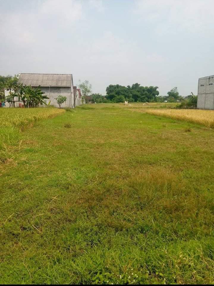 Dijual Tanah Luas Dekat Nol Jalan Raya di Randubango Mojasari Mojokerto - Image 1