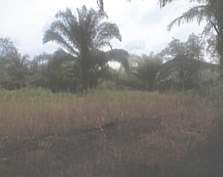 Dijual Gudang Dan Kantor Siap Pakai Legalitas SHM di Ketapang Kalimantan Tengah - Thumbnail 3