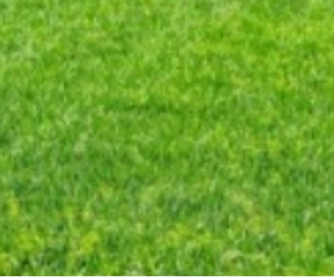 Dijual Tanah Murah di Grand Eastwood Citraland Surabaya Barat - Image 1