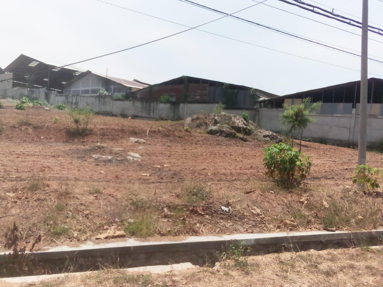 Dijual Tanah di Nol Jalan Raya Deandels Panceng Gresik - Image 1