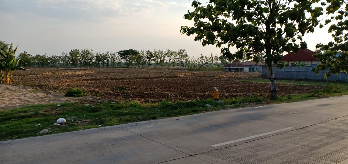 Dijual Tanah Strategis Dekat Fasilitas Umum di Raya Blora Jawa Tengah - Image 1