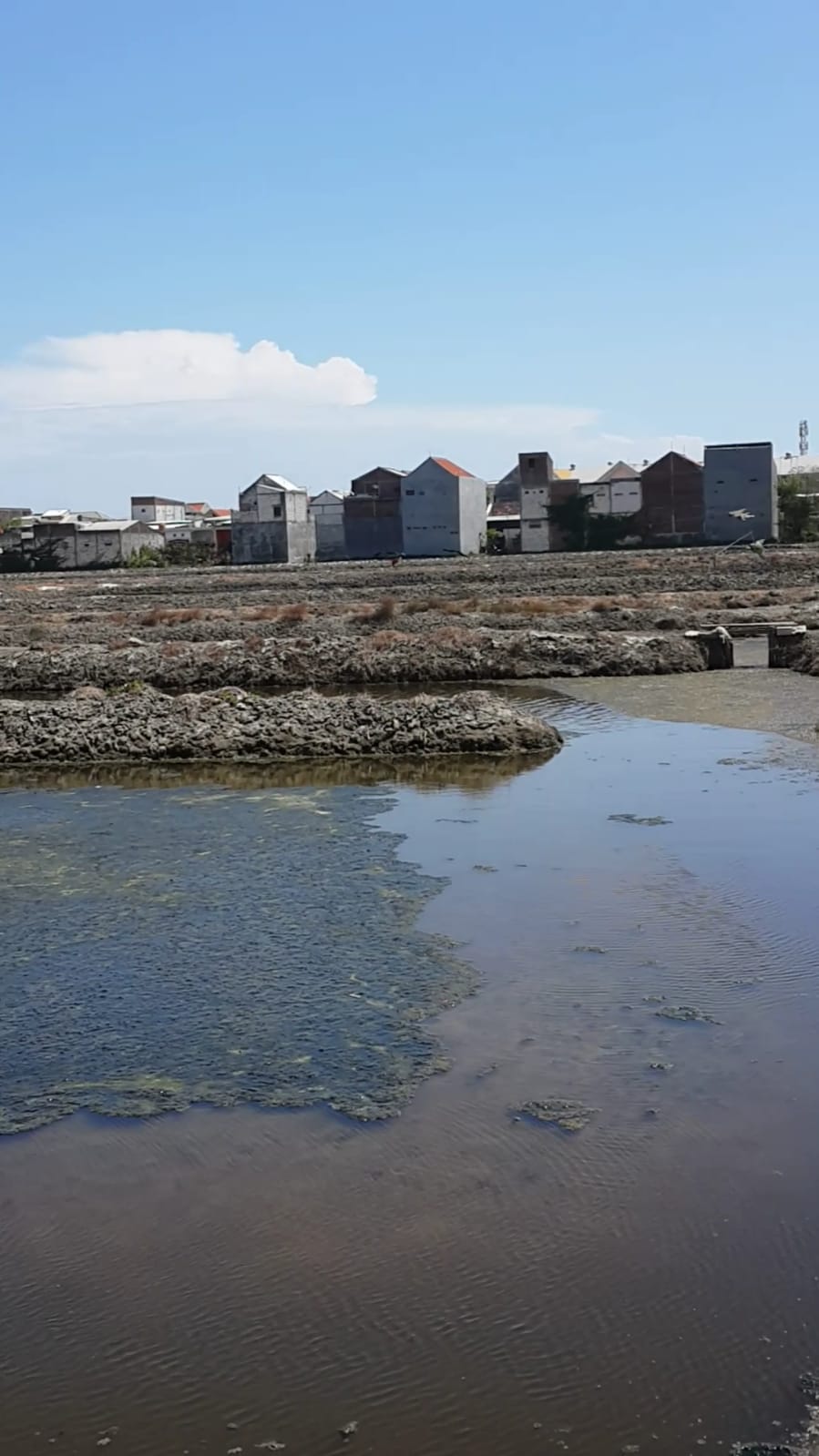 Dijual Tanah Komersil Potensial Depan JLLT Tambak Wedi Surabaya Utara - Thumbnail 2