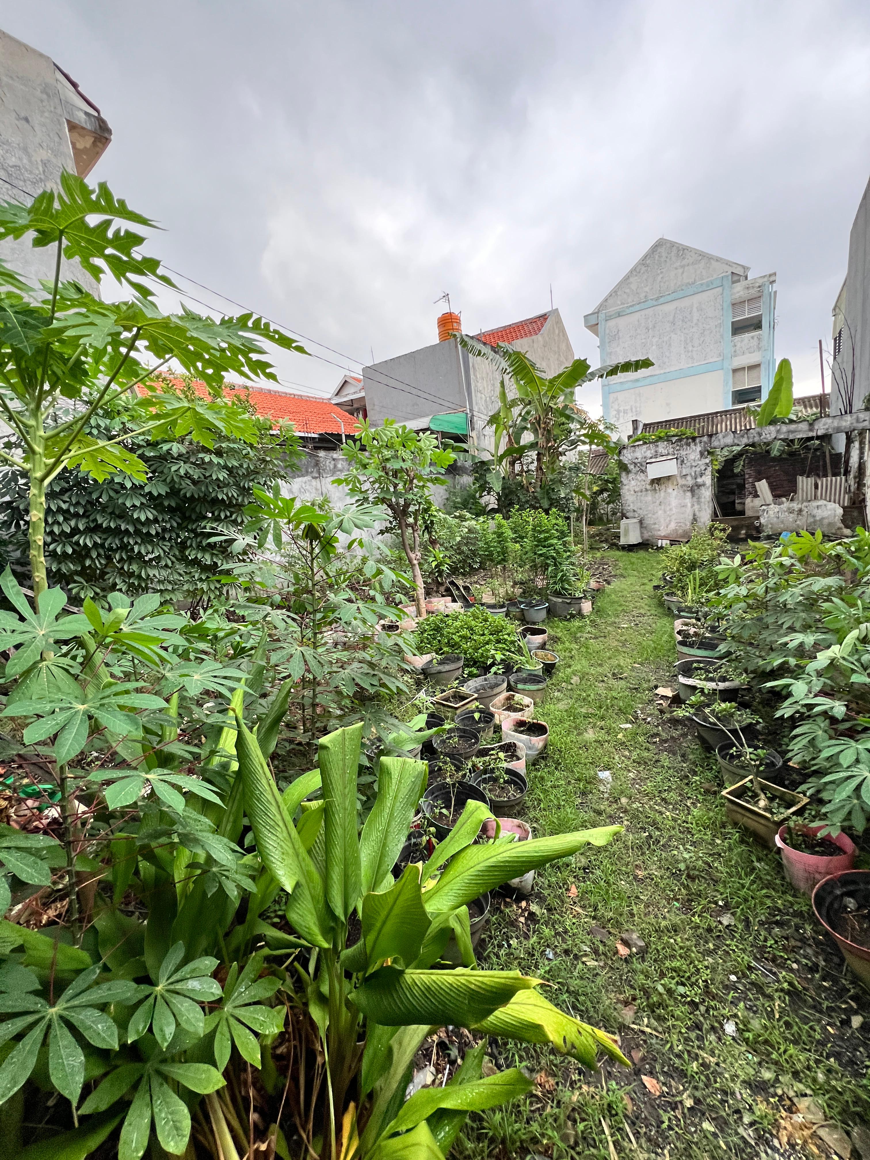 Jual Tanah Kavling Murah Margorejo Tangsi Lokasi Strategis Surabaya Selatan - Image 1