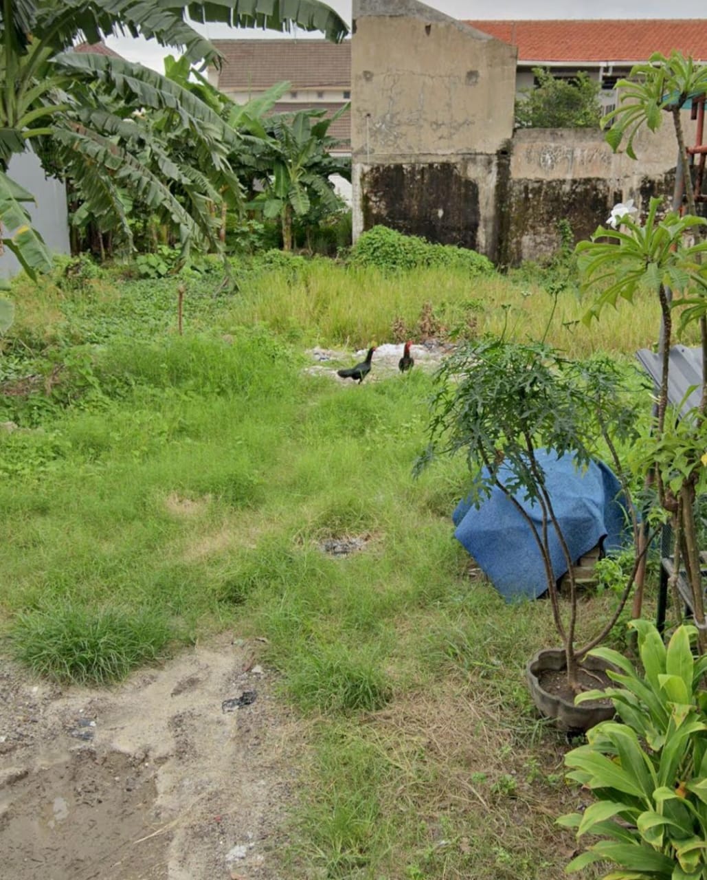 Jual Tanah Kavling Nol Jalan Raya Bypass Juanda Waru Sidoarjo - Image 1