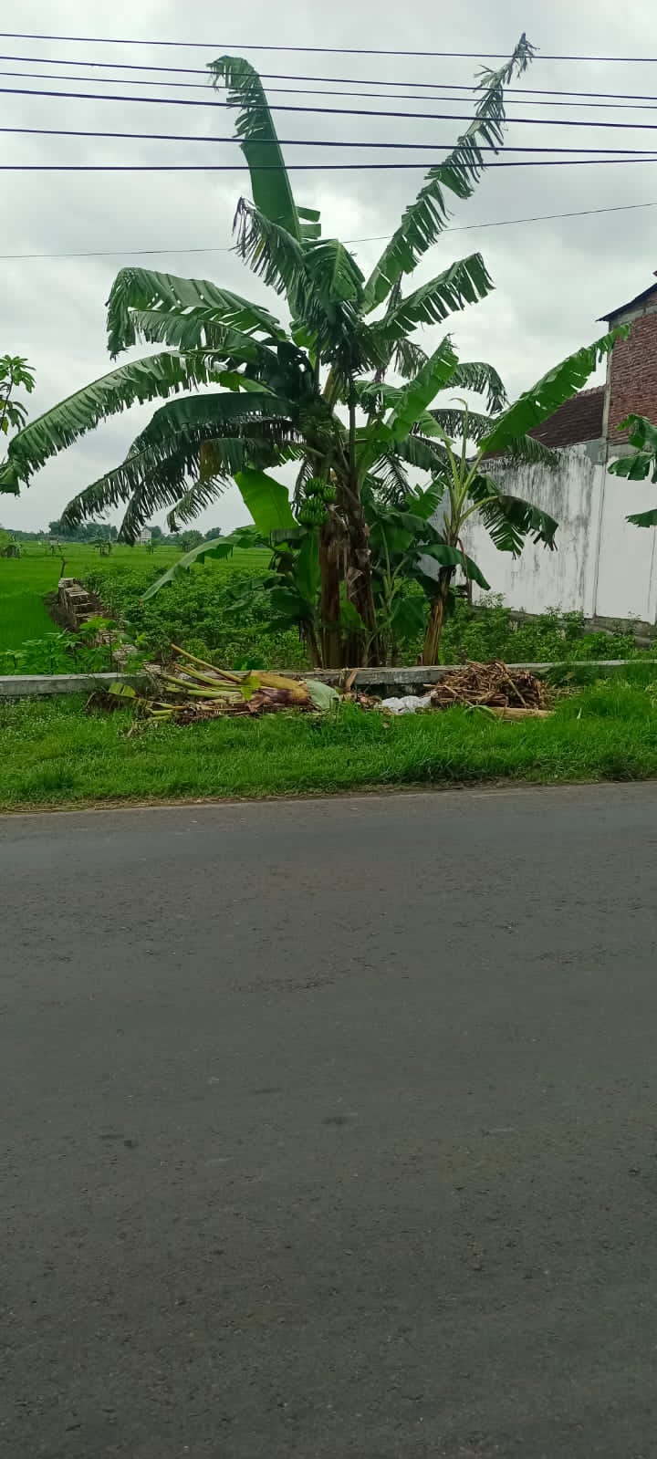Dijual Tanah Komersial Pinggir Jalan Utama di Balongpanggang Gresik - Thumbnail 2