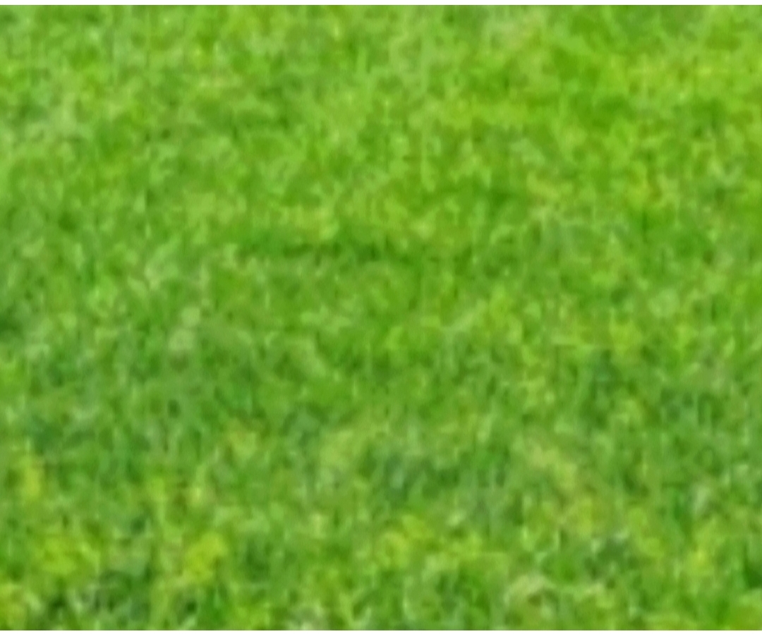 Tanah Komersial Disewa di Raya Emerald Mansion Citraland Surabaya Barat - Image 1