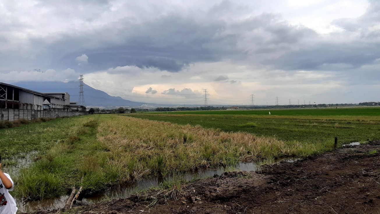 Dijual Tanah Sawah Lokasi Dekat Alun-Alun Ngoro Mojokerto - Image 1