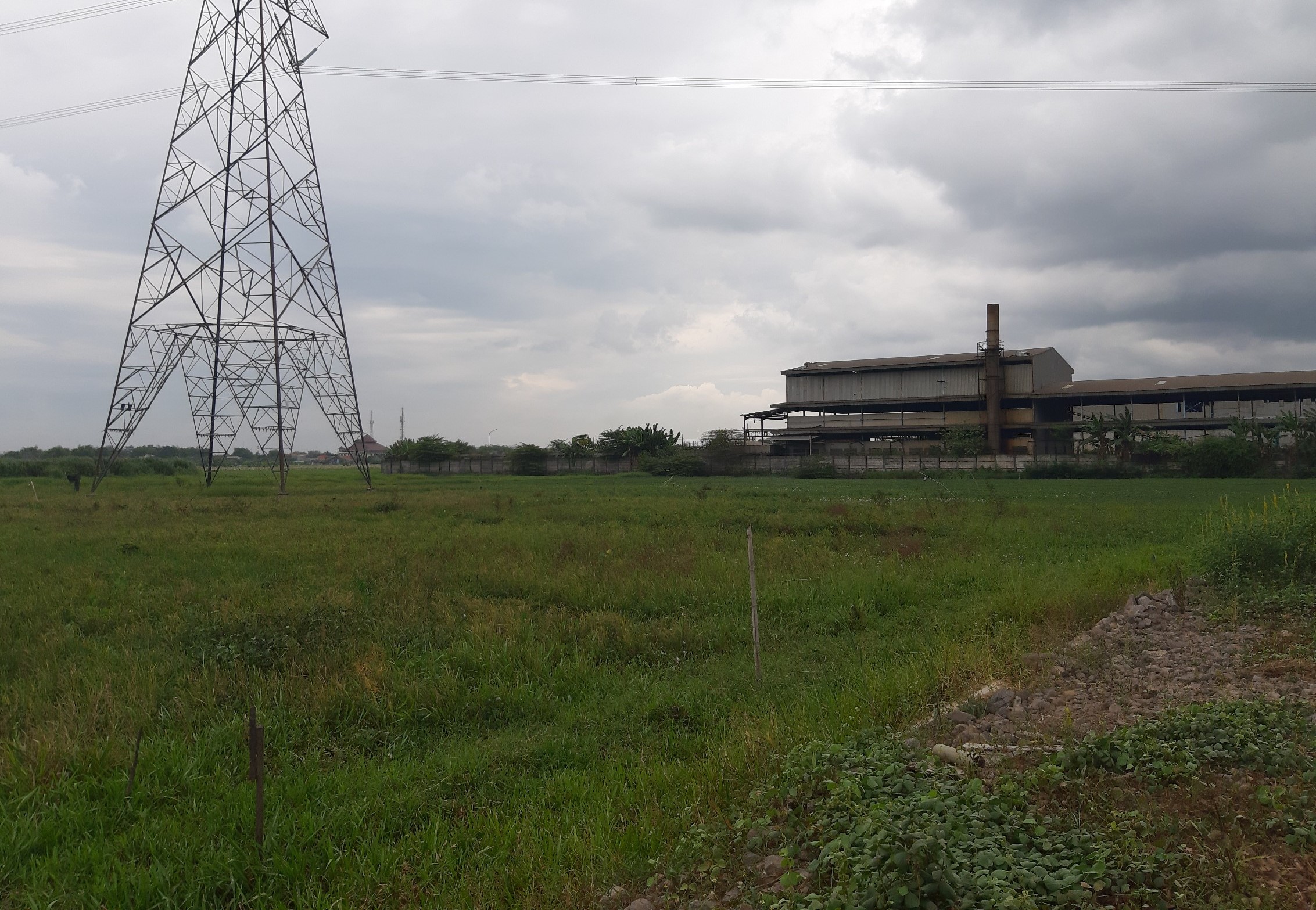 Dijual Tanah Sawah Bisa Viewing di Ngoro Mojokerto Cocok Untuk Investasi - Image 1