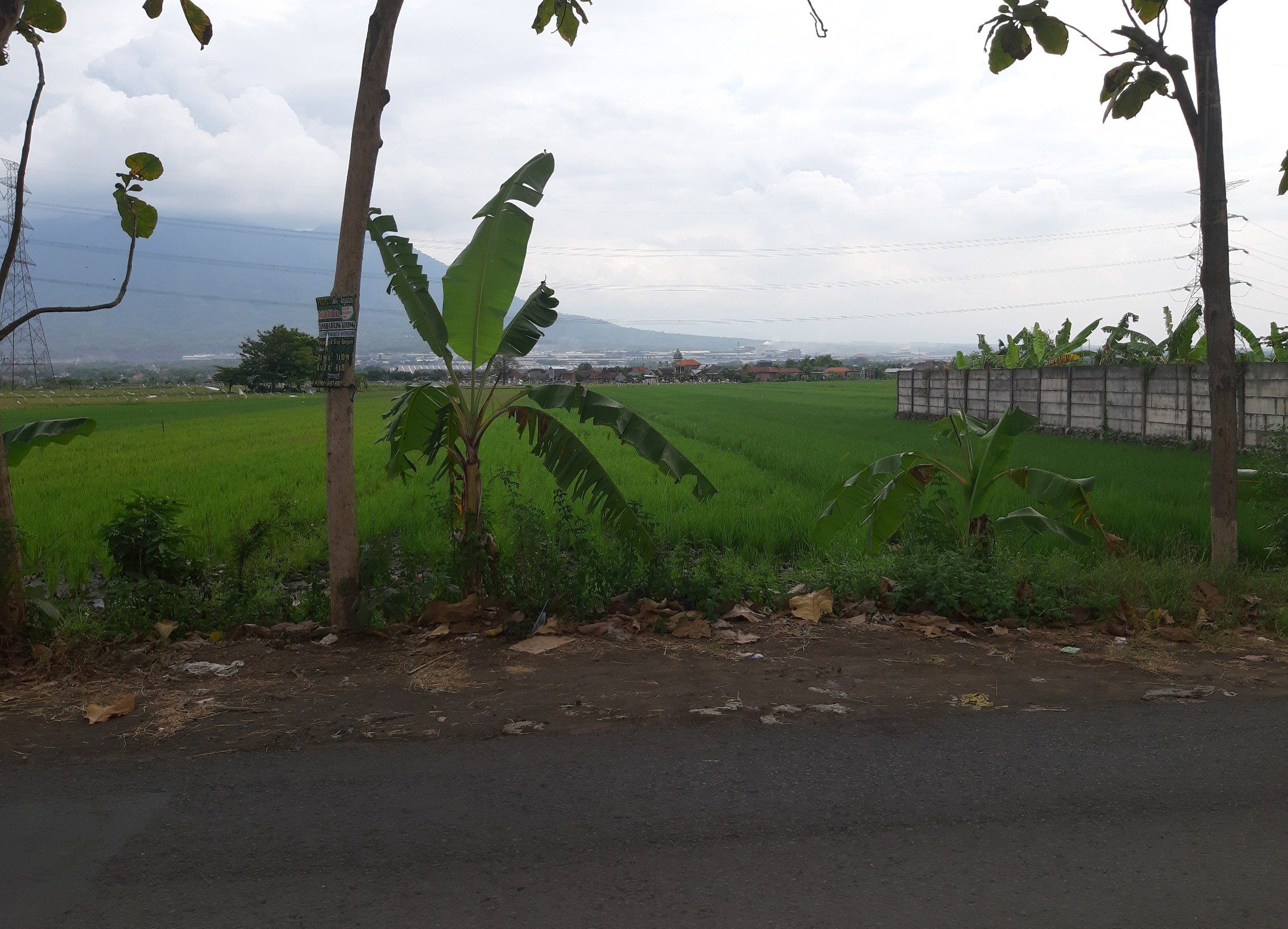 Dijual Tanah Sawah Luas dan Strategis di Desa Kembangsari Mojokerto - Image 1