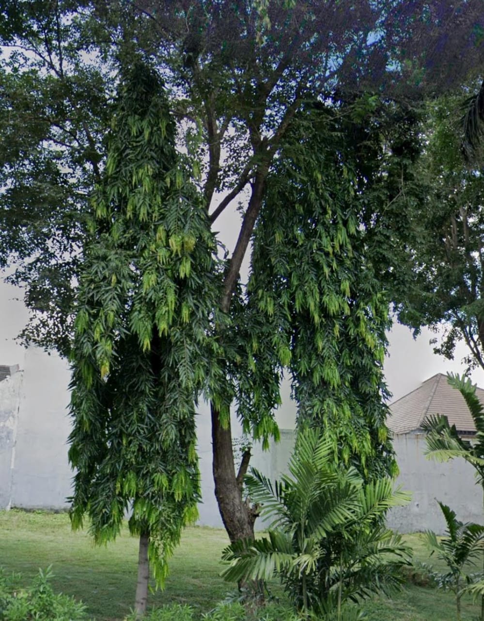 Jual Tanah Kavling Lokasi Premium Internasional Village Citraland Surabaya Barat - Image 1