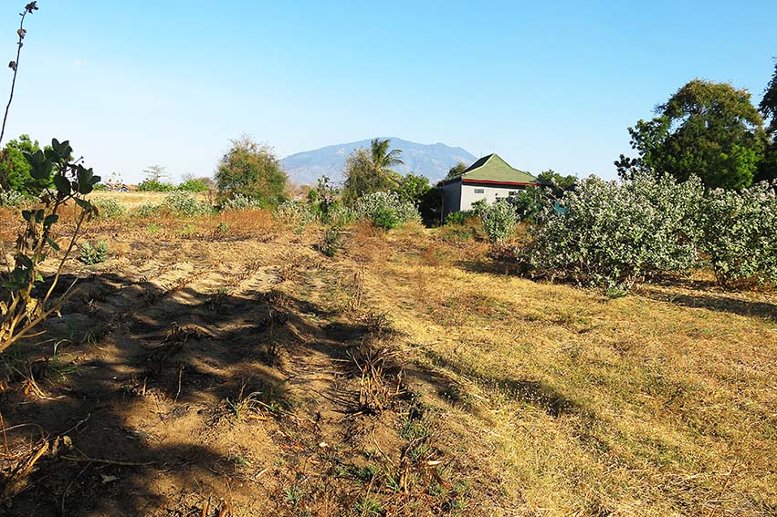 Ruko Dijual Lelang Lahan Luas Lokasi Dekat Ponpes di Situbondo - Thumbnail 3