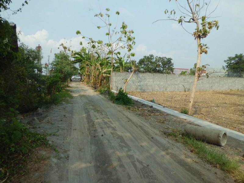 Dijual Lelang Tanah Sawah Luas Lokasi Stategis Cocok Untuk Investasi di Jombang - Thumbnail 2