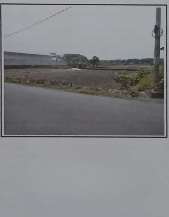 Dijual Tanah Luas Lokasi Strategis Siap Bangun di Alas Malang Sambikerep Surabaya Barat - Image 1