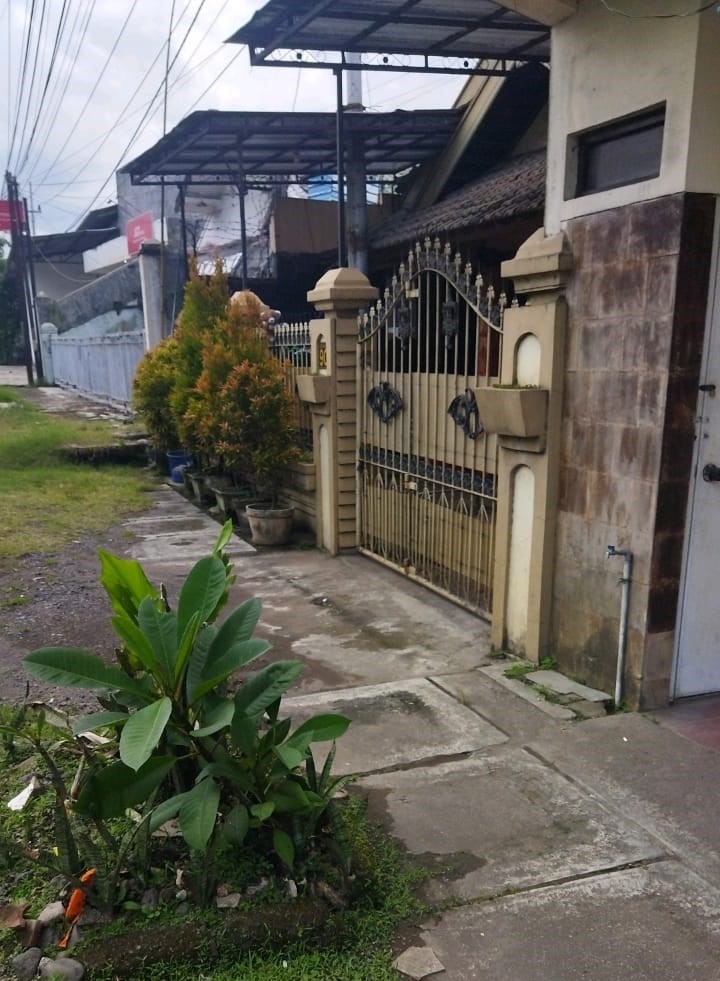 Dijual Rumah Lelang Dekat Kampus di Jalan Raya Jember Banyuwangi - Image 1