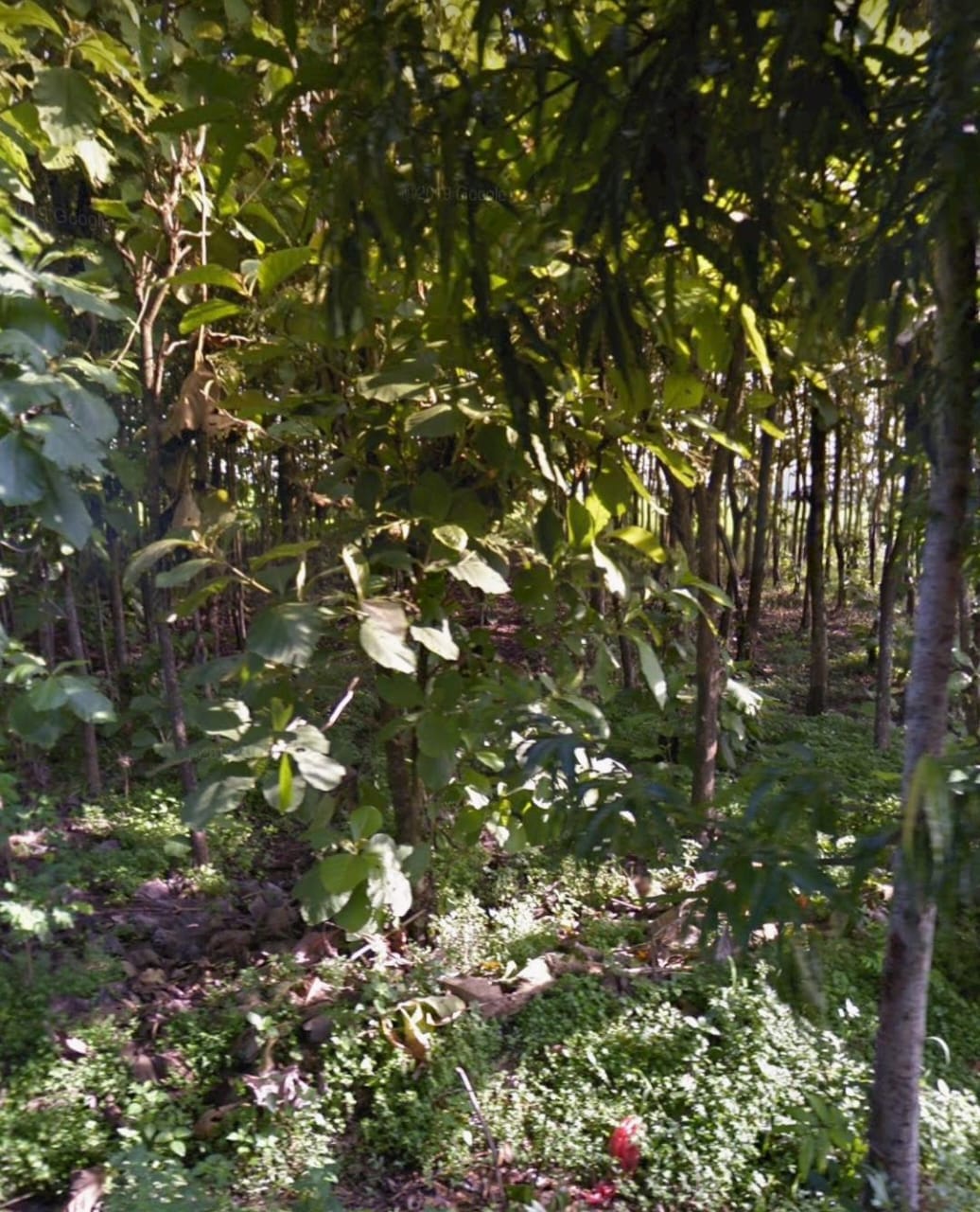 Jual Kavling Tanah Mantub Kramat Nganjuk Lokasi Strategis - Image 1