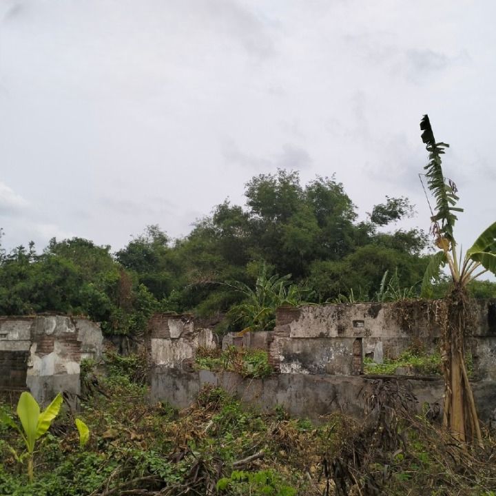 Dijual/Disewakan Tanah Hadap Jalan Raya Provinsi Ex Pabrik Tahu di Jombang - Thumbnail 3