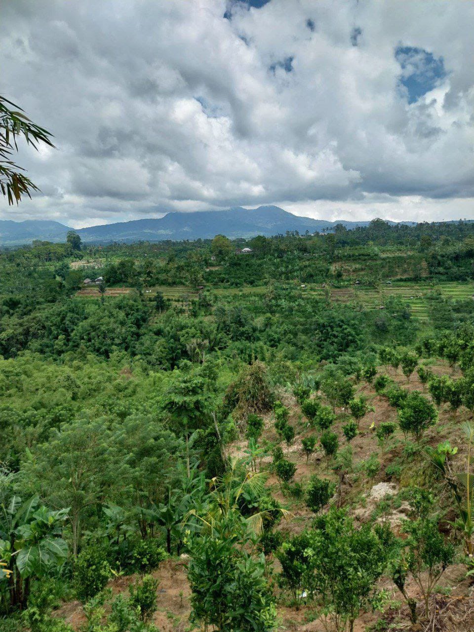 Dijual Tanah Kavling Eksklusif Lokasi Premium Strategis Boulevard Araya Malang - Image 1