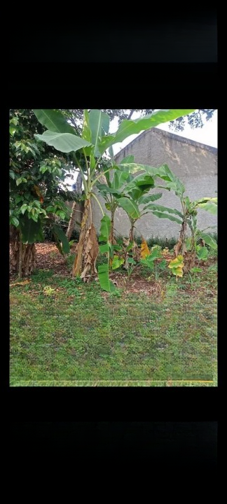 Dijual Tanah Strategis Akses Mudah ke Jalan Raya & Tol di Jabon Mekar Parung Jawa Barat - Thumbnail 3