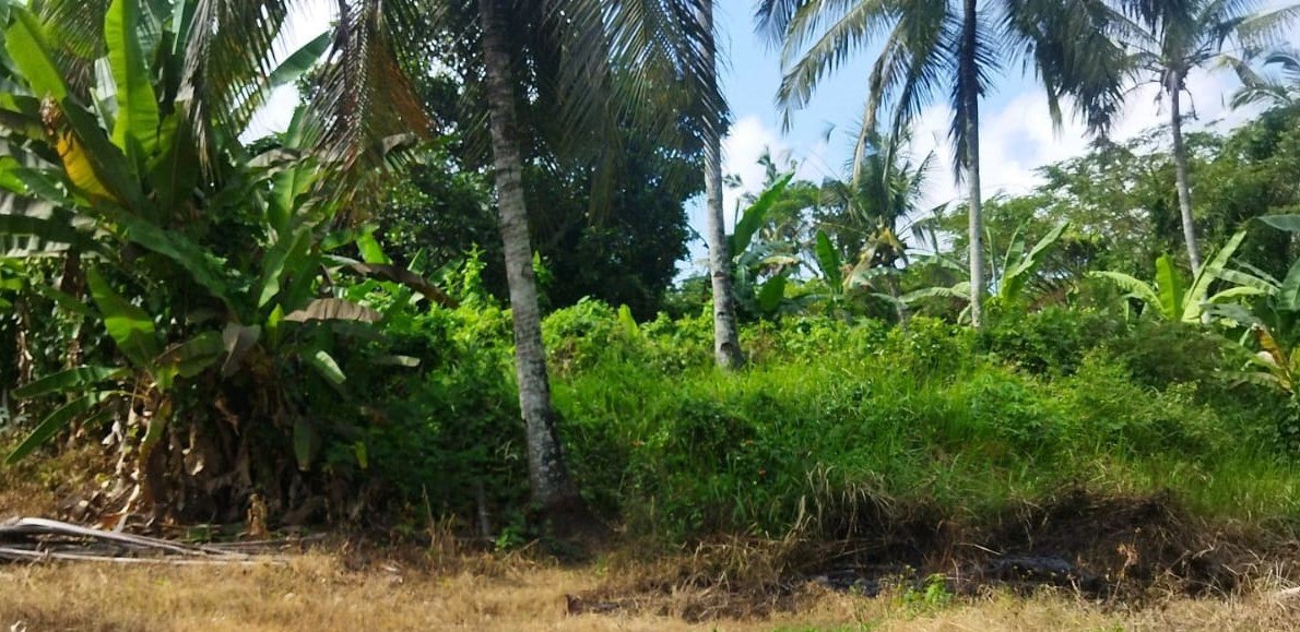 Jual Lelang Tanah Kosong Strategis Dekat Pusat Kota di Banyuwangi - Image 1