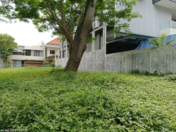 Disewakan Murah Tanah Palm Hill Citraland Surabaya Barat - Image 1