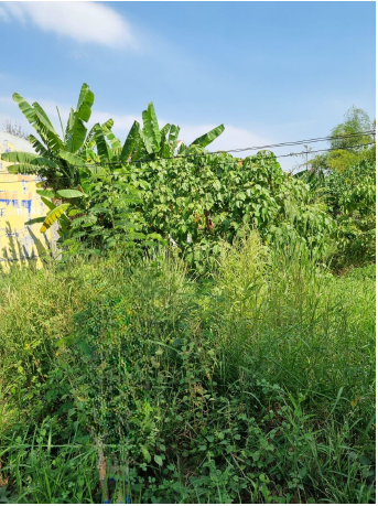 Dijual Tanah Komersial Strategis di Jalan Raya Menganti Surabaya Barat - Thumbnail 2