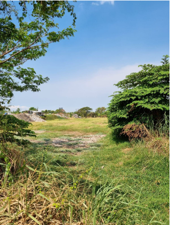 Dijual Tanah Lokasi Industri di Lakarsantri Driyorejo Surabaya Barat - Image 1