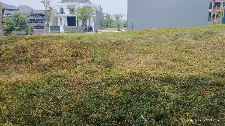 Dijual Tanah Komersial Strategis di Citraland Bukit Golf International Surabaya Barat - Image 1