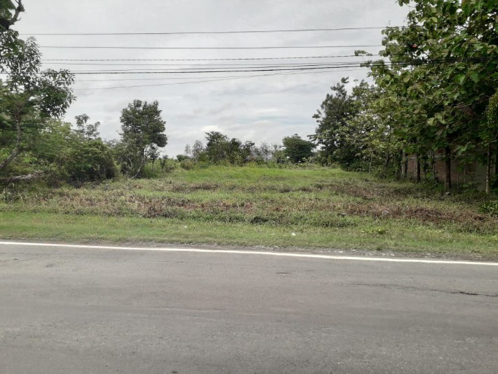 Dijual Tanah Lokasi Strategis di Kawasan Dander Nemon Bojonegoro - Image 1