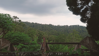 Dijual Tanah Perkebunan Produktif di Sambirejo Wonosalam Jombang - Thumbnail 2