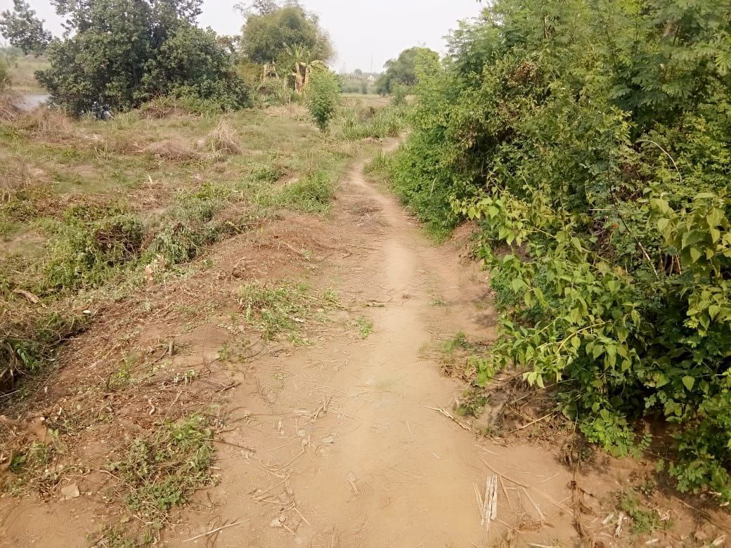 Dijual/Disewakan Tanah Strategis di Kawasan Kedungmungal Pungging Mojosari Mojokerto - Thumbnail 3