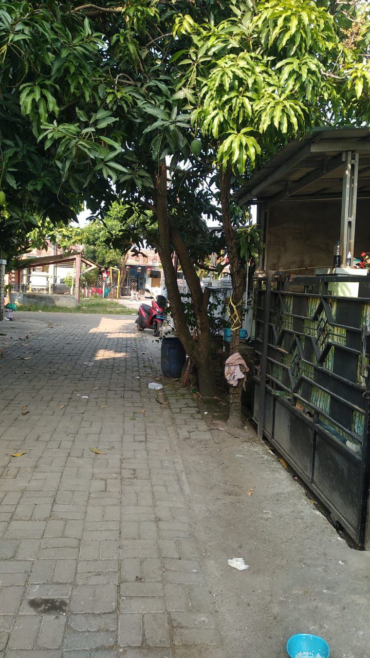 Dijual Rumah Minimalis di Perumahan Puri Anggrek Kota Serang Banten - Thumbnail 2