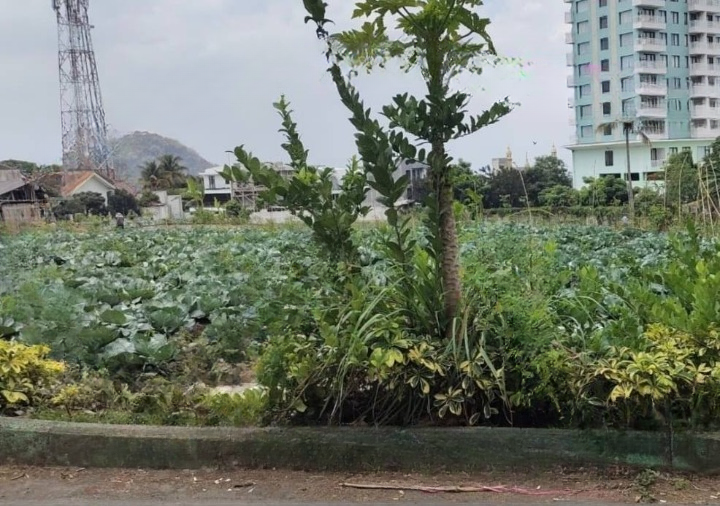 Dijual Tanah Kosong Lokasi Strategis di Kota Batu Malang - Image 1