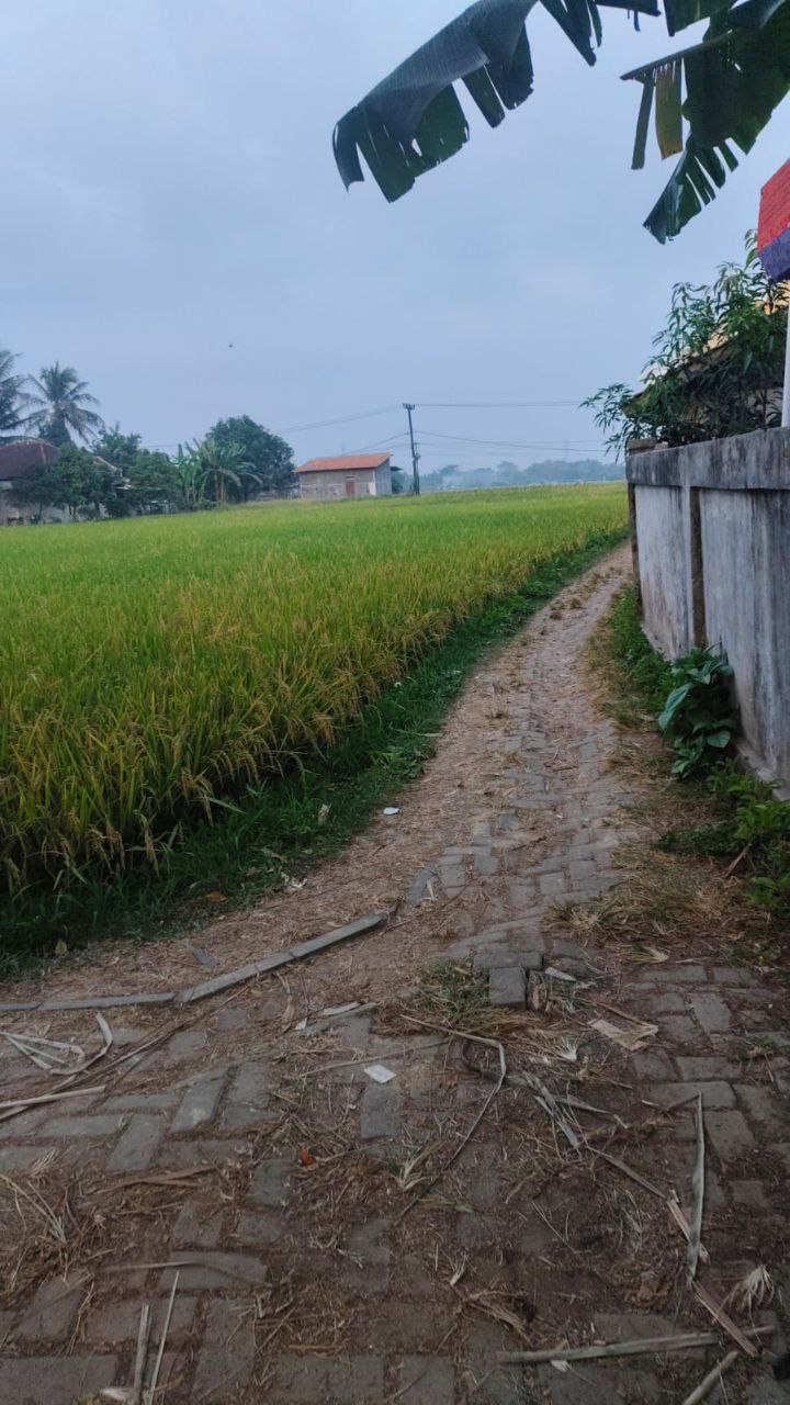 Dijual Tanah Sawah Luas di Kampung Koper Kecamatan Kresek Tangerang - Thumbnail 3