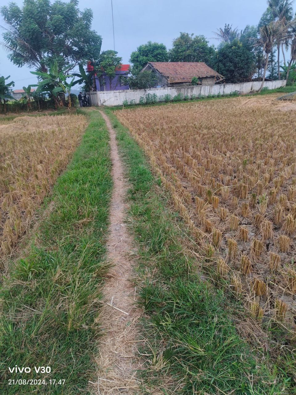 Dijual Tanah Sawah Luas di Kampung Koper Kecamatan Kresek Tangerang - Thumbnail 2