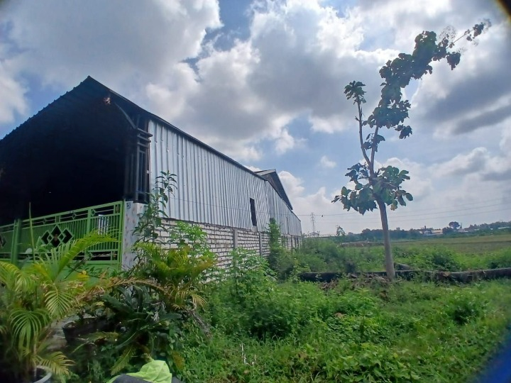 Dijual Rumah Luas Lokasi Strategis di Sumberagung Plumpang Tuban - Thumbnail 3