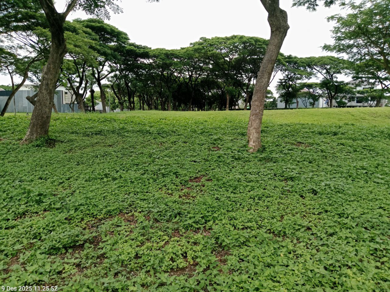 Dijual Tanah Kavling Komersial di Bukit Telaga Golf Citraland Surabaya Barat - Image 1