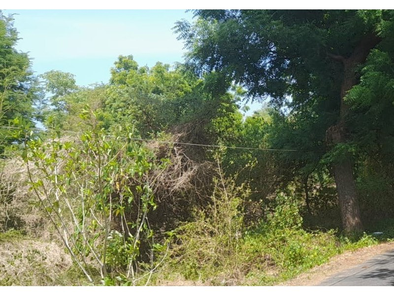 Dijual Lelang Tanah Luas Lokasi Strategis di jalan Desa Bulian Buleleng Bali - Image 1