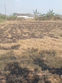 Dijual Cepat Tanah Komersial Lokasi Strategis di Kalanganyar Benjeng Gresik - Thumbnail 2