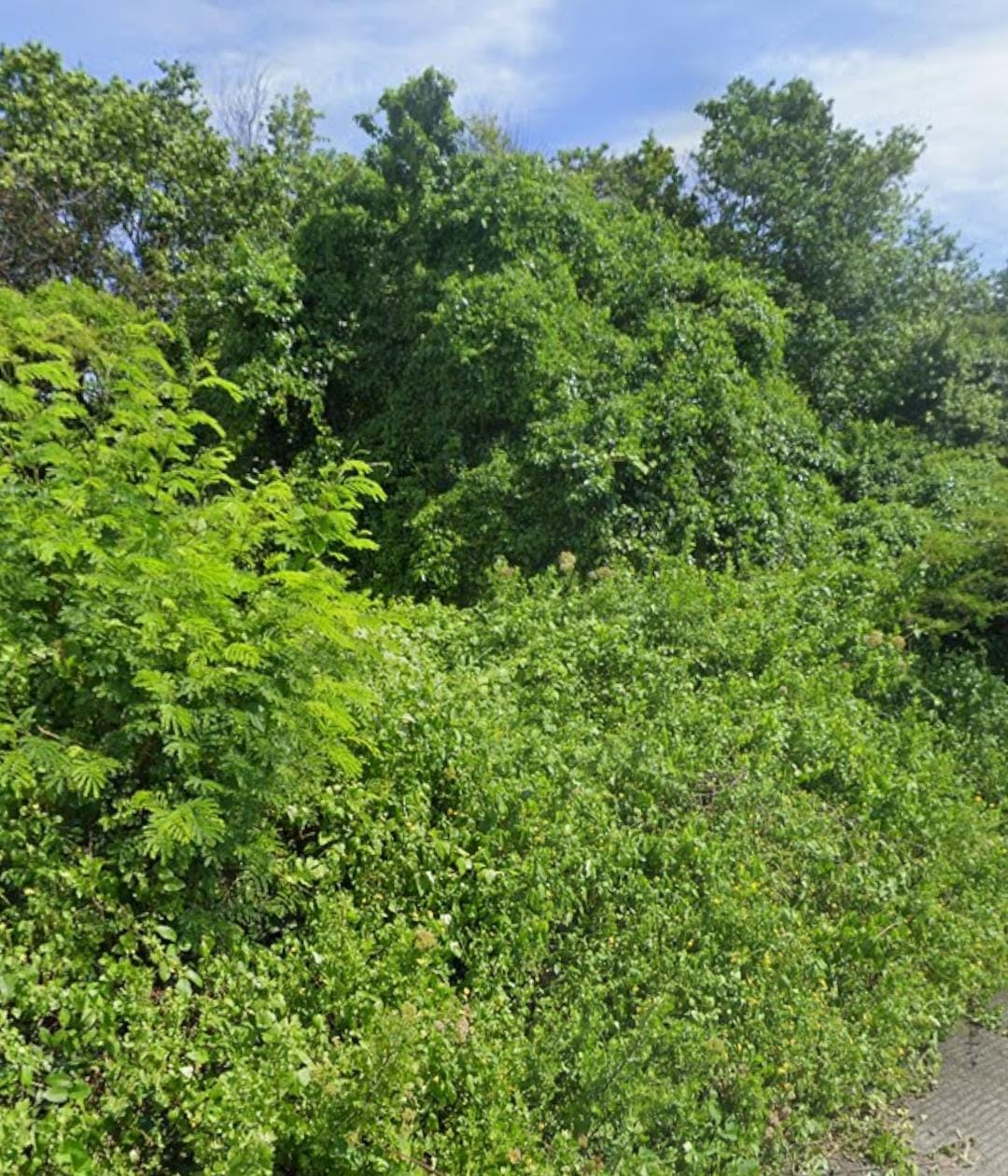 Disewakan Tanah Kavling Lokasi Strategis di Gunung Anyar Surabaya Timur - Image 1