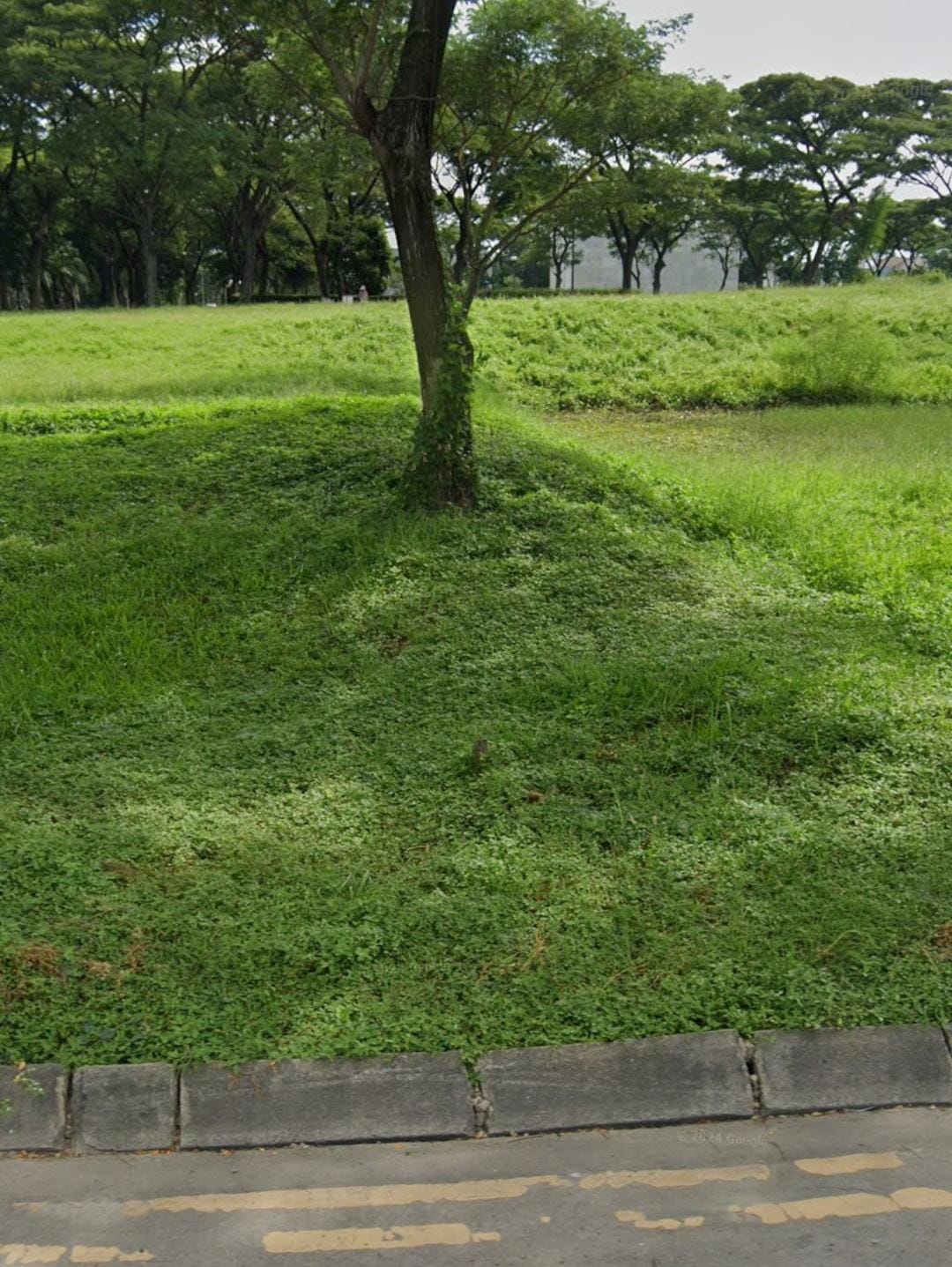 Disewakan Tanah Kavling Komersial di Raya Telaga Utama Double Way Citraland Surabaya Barat - Image 1