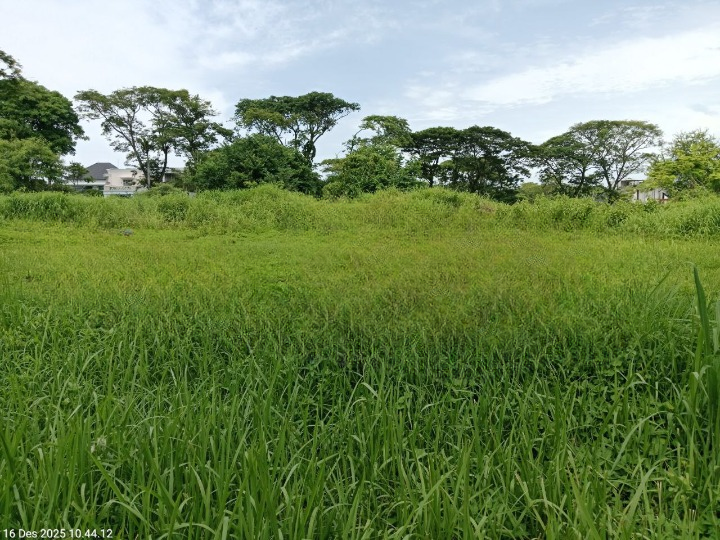 Dijual Tanah Kavling Primary di Bukit Golf Internasional Surabaya Barat - Image 1