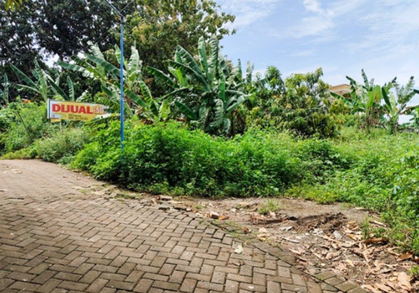 Dijual Lelang Tanah Strategis di Jalan Palm, Gunung Pati Semarang - Image 1