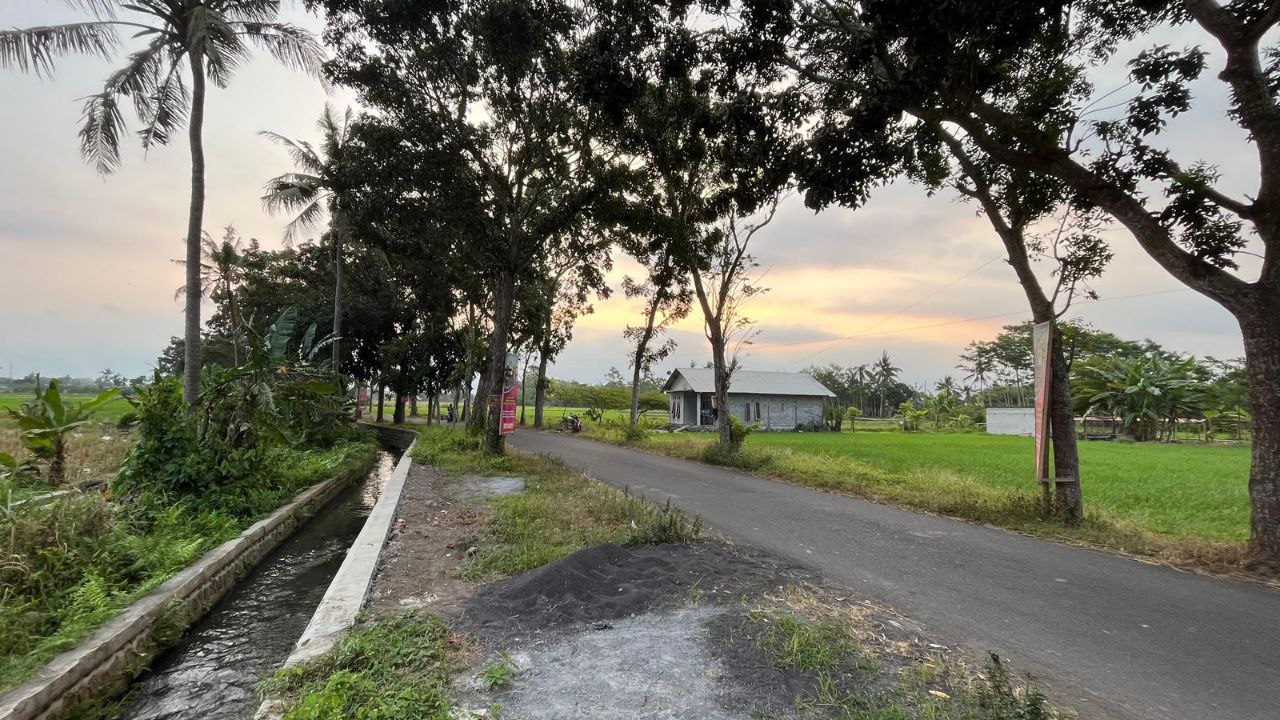 Dijual Tanah Sawah Produktif Dekat Jalan Raya di Krajan Klampokarum Tekung Lumajang - Thumbnail 4