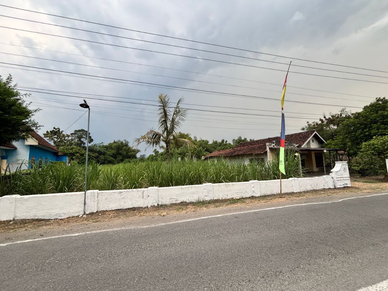 Dijual Tanah Pekarangan Luas di Desa Adan-Adan Gurah Kediri - Image 1