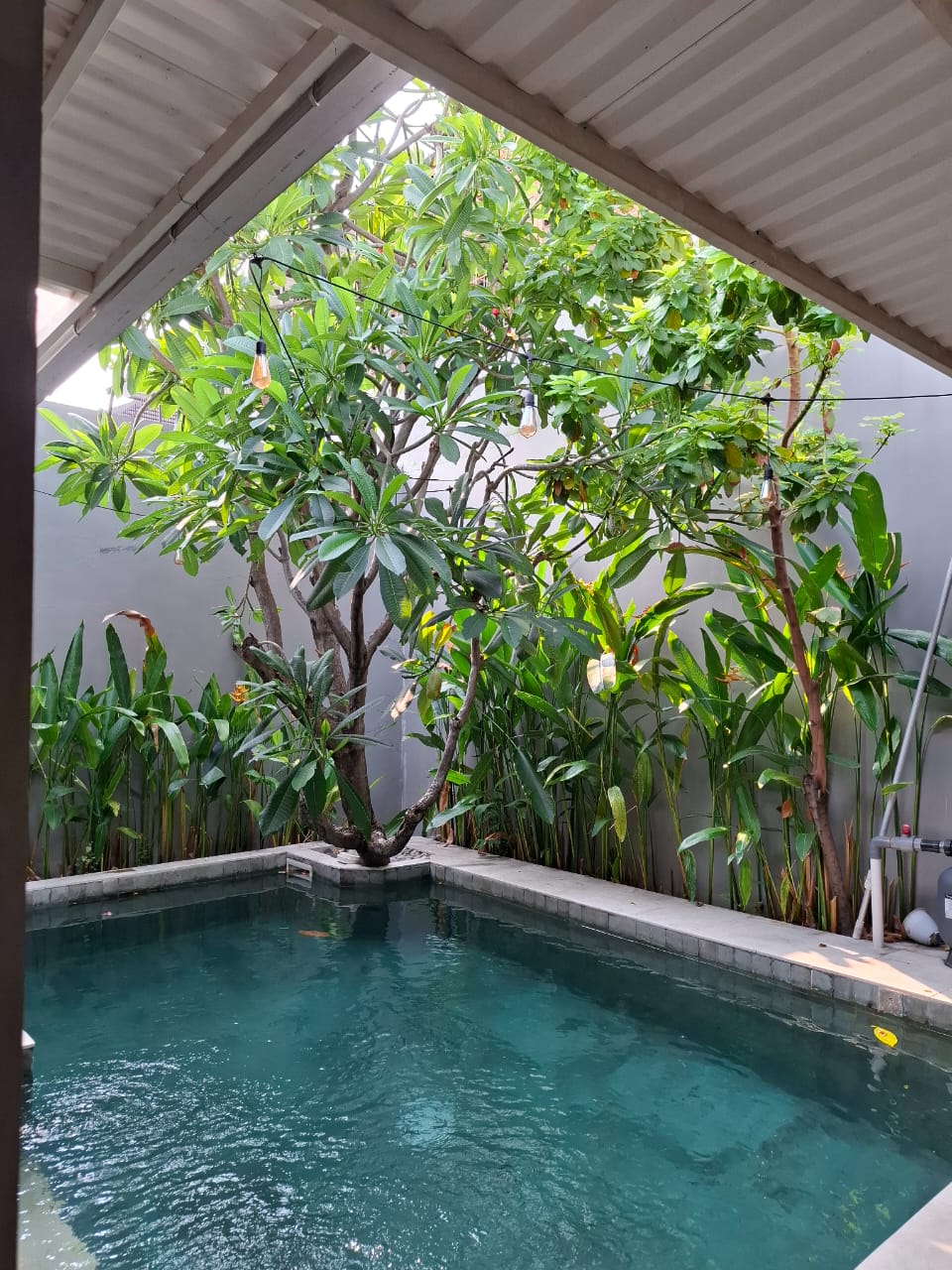 Dijual Rumah Minimalis Furnished di Queenstown, Citraland Utama Surabaya Barat - Image 1