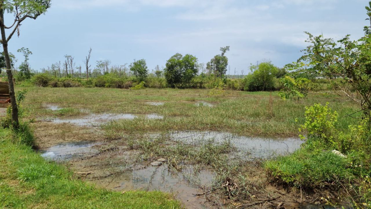 Dijual Tanah Sawah Kosong Strategis di Desa Morkepek Labang Bangkalan Madura - Image 1