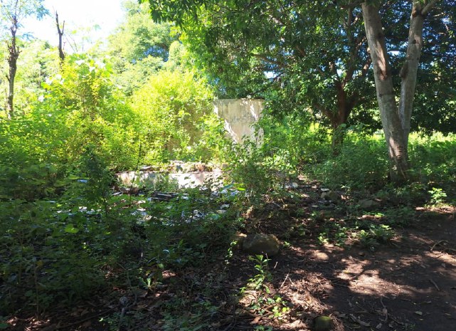 Dijual Tanah Luas Lokasi Strategis di Sokat Dusun Awang Lombok Tengah Nusa Tenggara Barat - Thumbnail 3